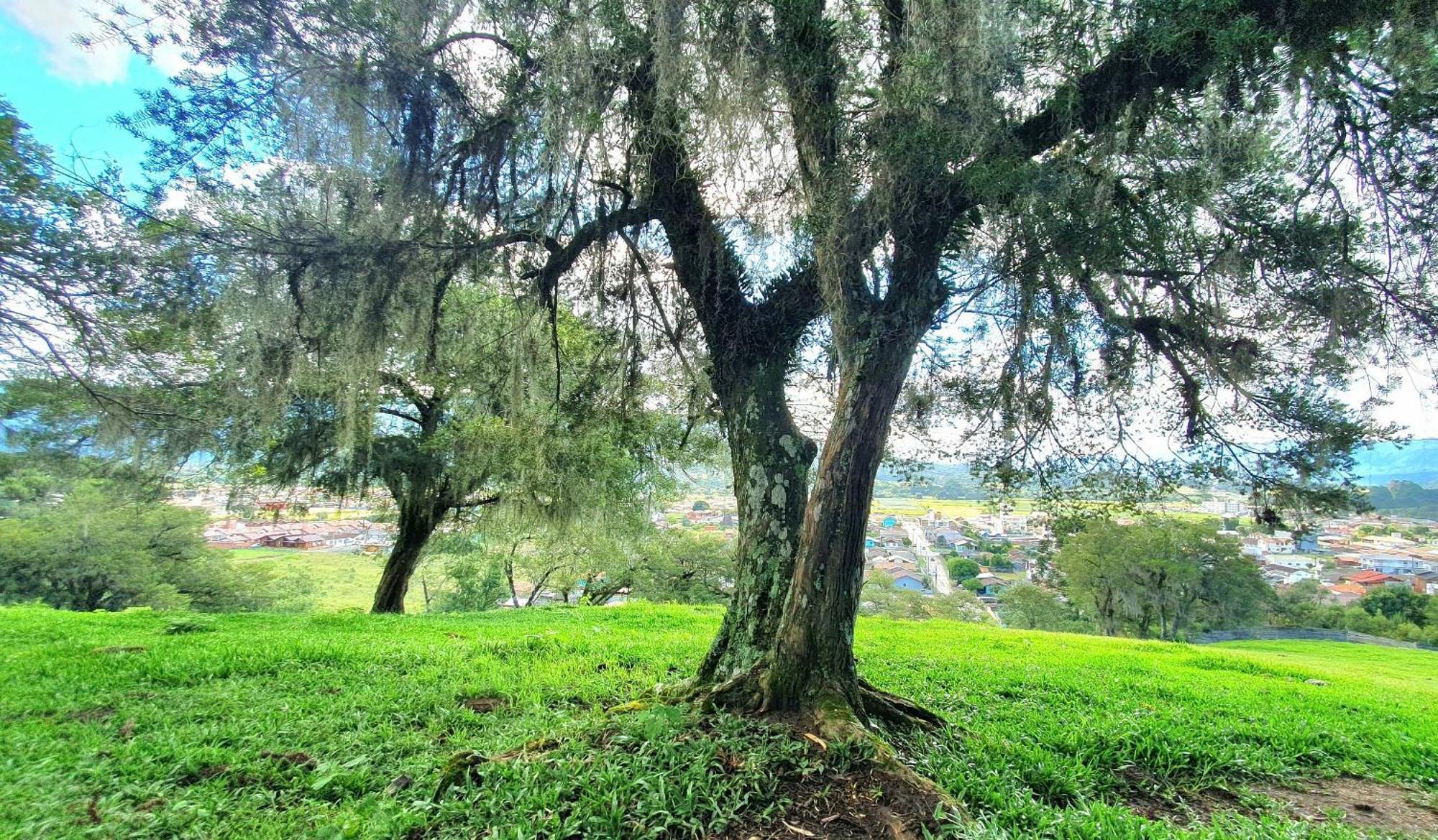 Cabana Canto Lindo - Urubici-Sc Esterno foto